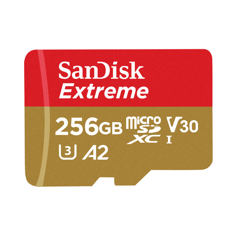 SDSQXAV-256G-GN6MN [256GB]