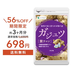 【4日から】ダイエットケア ガジュツ 約3ヶ月分