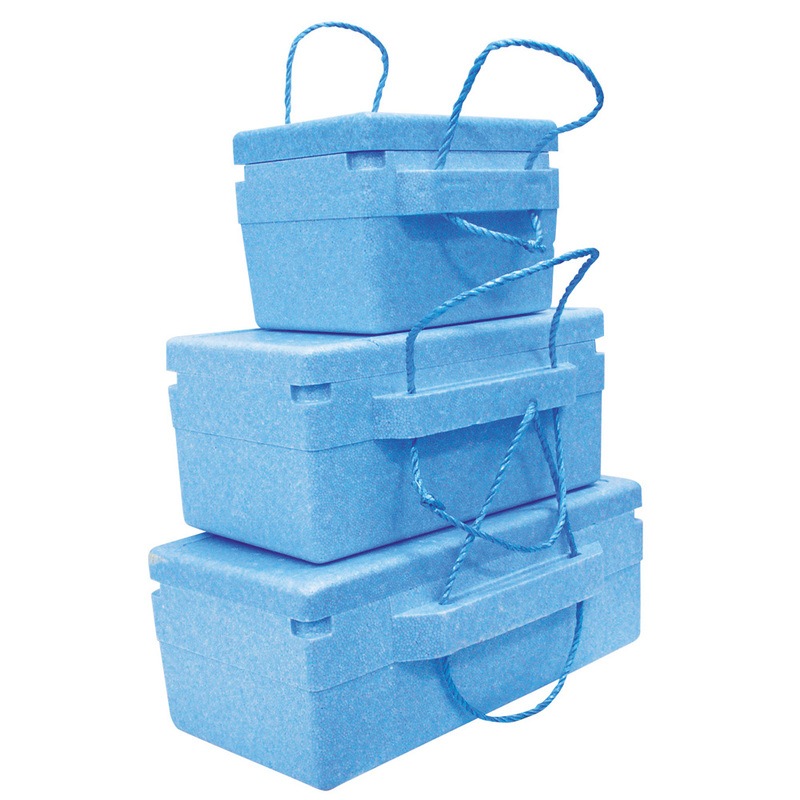 [2点セット] 発泡クーラーボックス 18L 【 レジャー用品 保冷 アウトドア用品 キャンプ用品 】