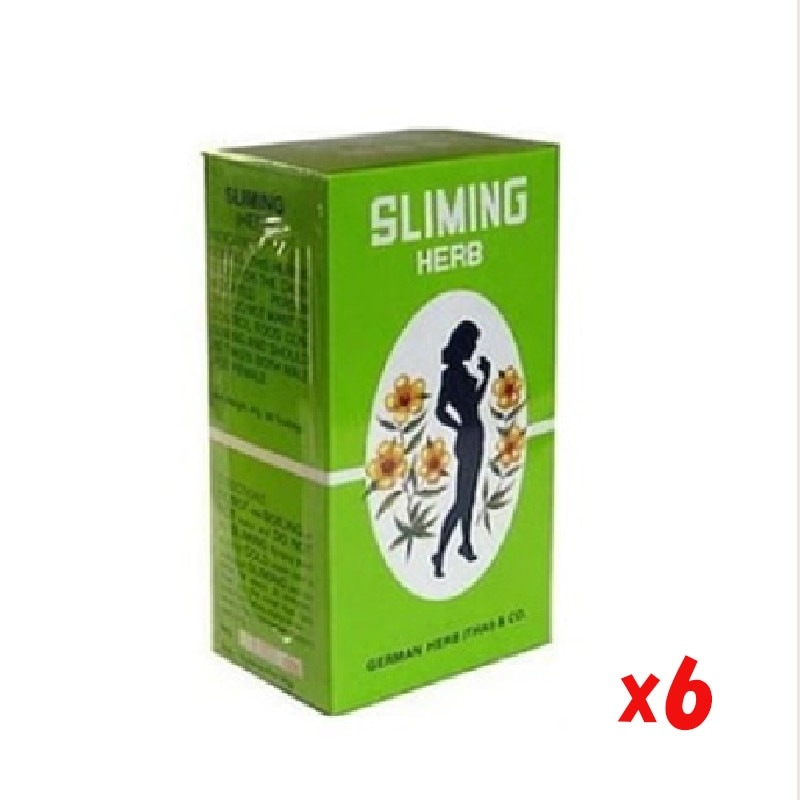 スリミングハーブティー デトックス ダイエット補助 天然ハーブ 水だし 天然ハーブ 便通解消 腸内環境改善　6個