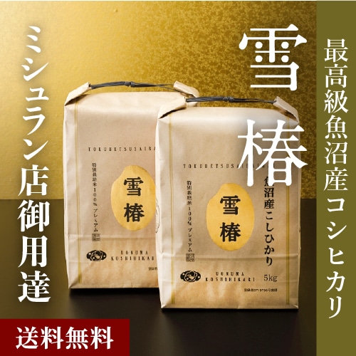 米 お米 魚沼産コシヒカリ 雪椿 コシヒカリ 10kg こしひかり 魚沼産 新潟県産 令和7年産 おいしい 美味しい 魚沼コシヒカリ 新潟 魚沼
