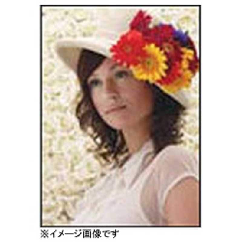 エプソン　EPSON　プロフェッショナルフォトペーパー(厚手半光沢)　PXMC16R2