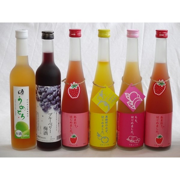 果実リキュール6本セット 紀州産 南高梅使用ブルーベリー梅酒 500ml（和歌山）梅リキュール う