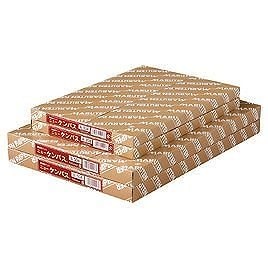 （まとめ買い）ゴークラ ニューケンパス 厚口 B4 100枚 B504 00438428 [x3]