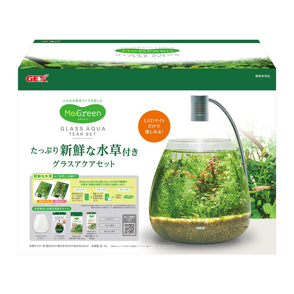 ＧＥＸ　水槽セット　ＭｅＧｒｅｅｎ　新鮮な水草付き　グラスティアーセット　小型水槽　メグリーン　ＣＲＣ10―11―03―10―40