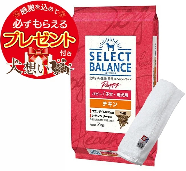 セレクトバランス エイジングケア チキン 小粒 7才以上 成犬用