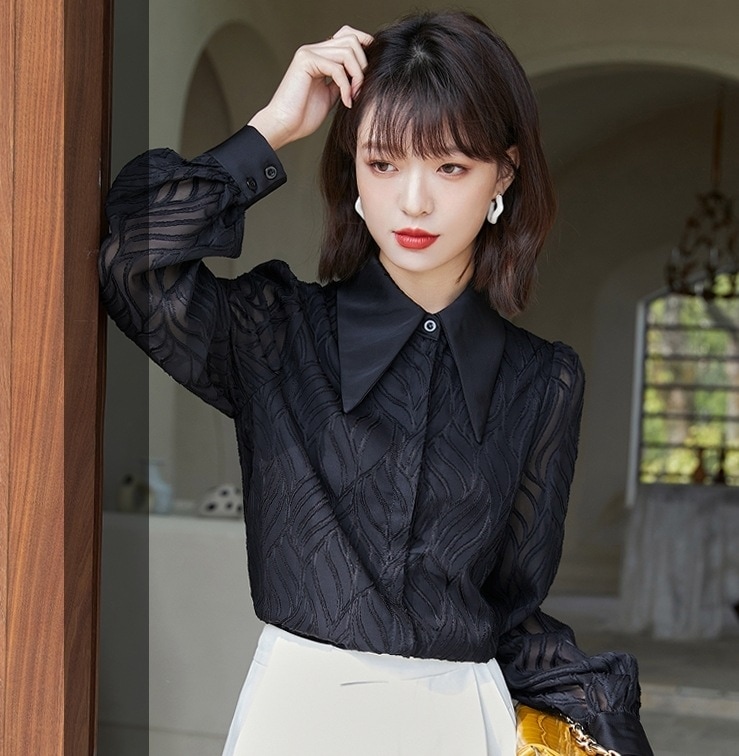 トップス ブラウス 袖あり 長袖 襟付き レース 刺繍 チュール かわいい 大人可愛い きれいめ シンプル カジュアル 大人 上品 おしゃれ お洒落 大人女子 こなれ感 柄 春 夏 秋 冬