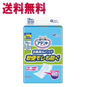 送料無料 【ケース販売】大王製紙 アテント お肌安心パッド 軟便モレも防ぐ 16枚×6個入 【同梱不可】