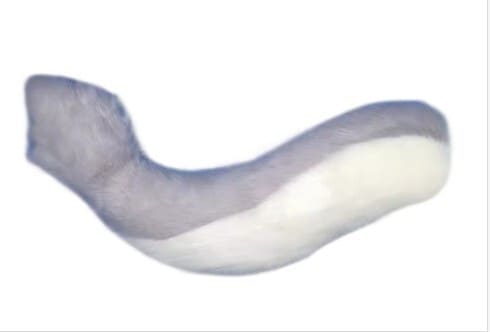 ファースーツ アクセサリー 尻尾 青紫 Dタイプ 飾りもの ケモノ しっぽ