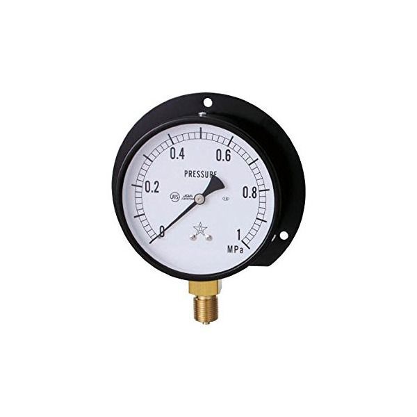 右下精器製造 G421-211-V-1.6MP 一般圧力計 (B枠立型・φ100 圧力レンジ0.0～1.60MPa) メーカー直送