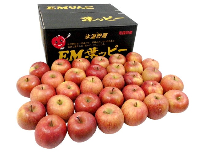 青森産 訳あり =葉とらずサンふじ=24-40玉 約10kg 葉っぱを摘まずに育てたりんご/葉とらずりんご/葉取らず 予約 1月以降