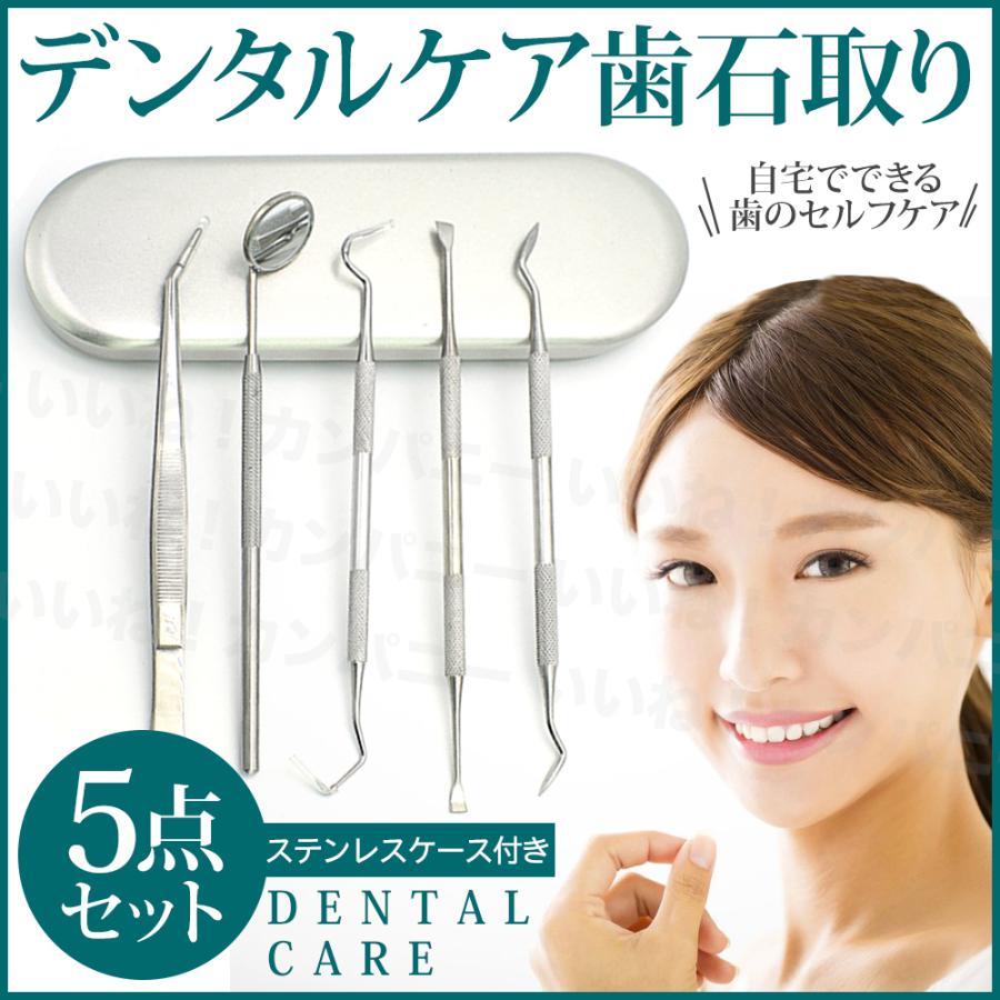 歯垢 訳あり歯石取り 口臭予防 器具 スケーラー 歯石除去 5本セット デンタルケア ヤニ