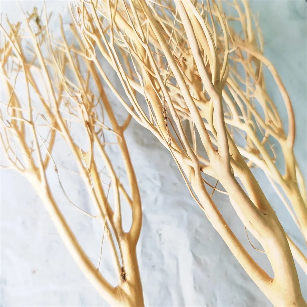 Moss-水族館流木の枝自然なトランク大きなサイズ水槽の造園の装飾のための各種の流木 5,383円