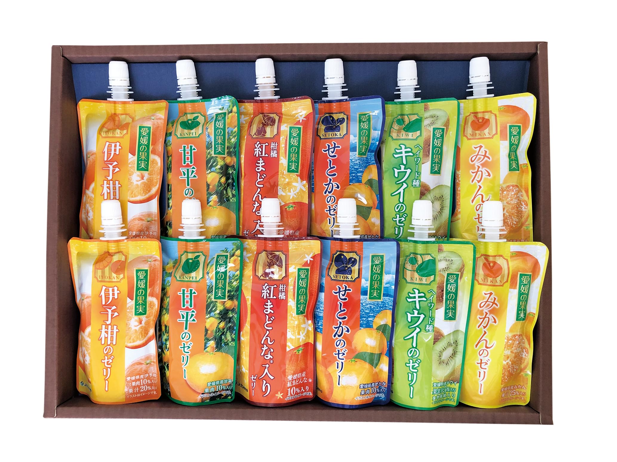 JAえひめ中央 ゼリー詰め合わせ 愛媛の果実詰合せ