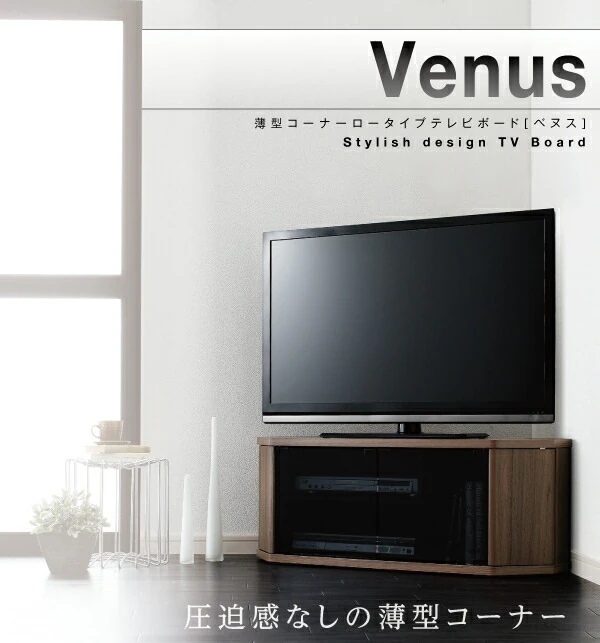 コーナーテレビボード 幅100cm レギュラータイプ 薄型 ロータイプ 隠しキャスター 収納