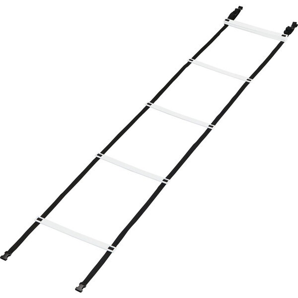 KANEYA カネヤ K-3041 トレーニングラダーAT6