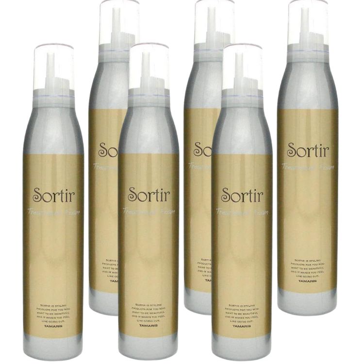 6個セット タマリス ソルティール トリートメント フォーム 180g Sortir スタイリング スタイリング剤 ダメージケア