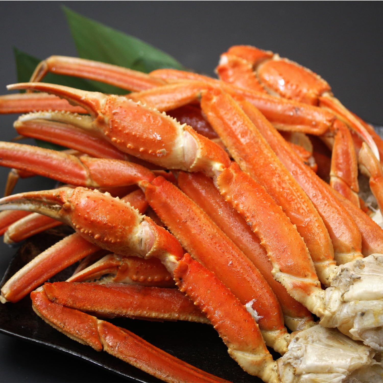 北海道きたれん 特大 ボイル ズワイガニ 2kg (1個)