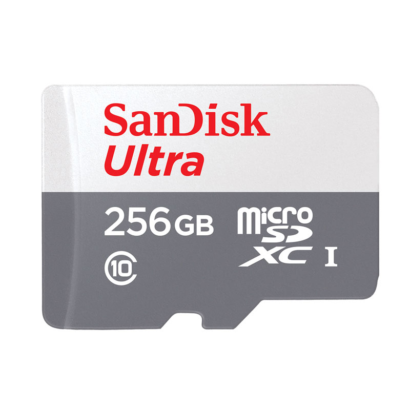SDSQUNR-256G-GN3MN [256GB]