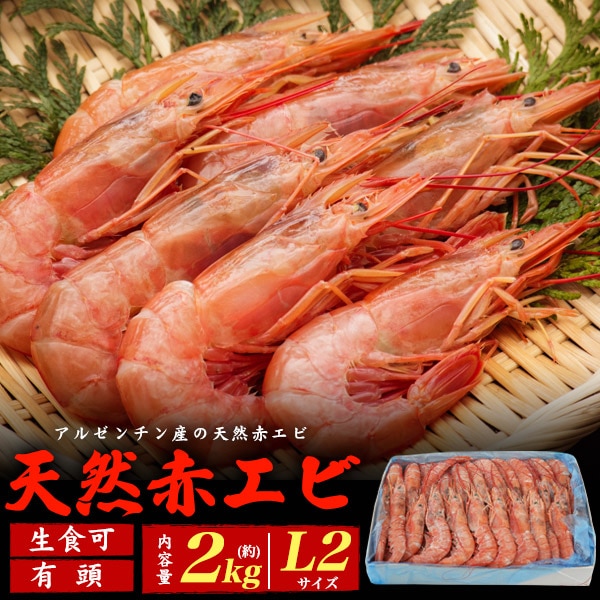 天然赤エビ 2kg 生食可　L2サイズ　有頭　赤エビ　とれたて　お刺身　フライ　揚げ　アヒージョ　エビチリ　母の日