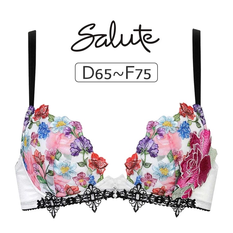 ワコール サルート 60G ブラジャー単品 フロントエックス DEFカップ アンダー65/70/75cm BTJ760