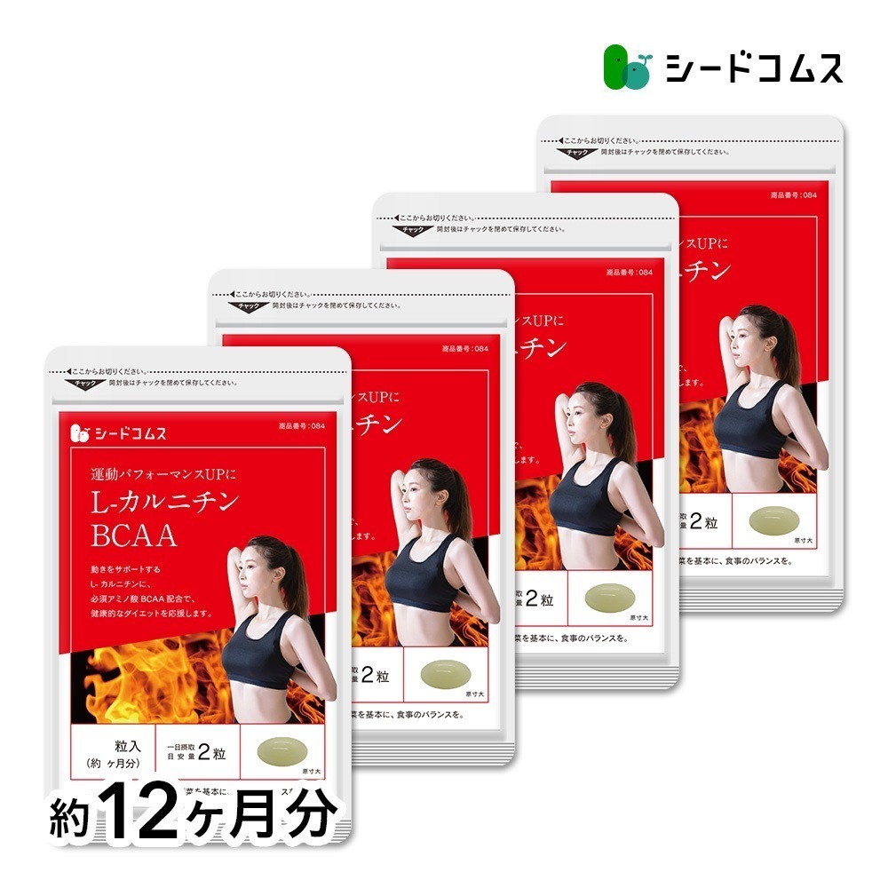 L-カルニチン BCAA 約１２ヶ月分　脂肪燃焼サプリ