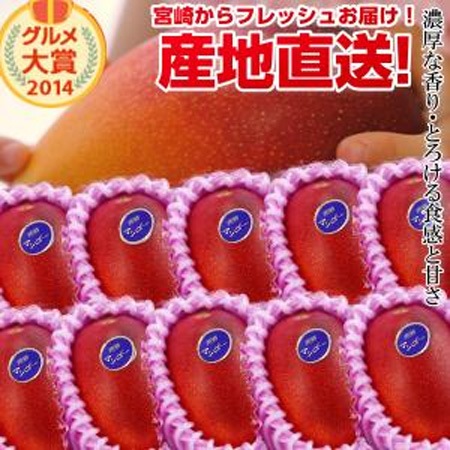 特大宮崎完熟マンゴー 特大玉10玉 宮崎からお届けする南国の香り・とろける美味しさがいっぱいの完熟マンゴー地元宮崎だからこそできる鮮度＆産直でお届け お中元 青果物 フルーツギフト 父の日