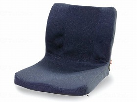 ピーエーエス モールドシート 紺 PAS-MSW-002 21,138円
