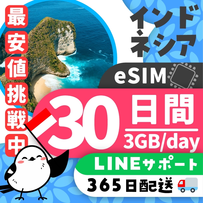 【インドネシアeSIM】簡単設定／使用日数：３０日間／データ容量：３GB（day）／有効期限90日／最短即日発行／パスポート番号不要／データ通信専用