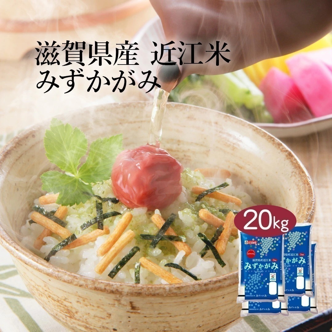 米 精米 滋賀県産 近江米 みずかがみ 20kg 5kg 4セット 令和7年産 お米 こめ 20キロ 安い おこめ 白米 国産 食品 ギフト 引っ越し 内祝い お歳暮 送料無料 おくさま印
