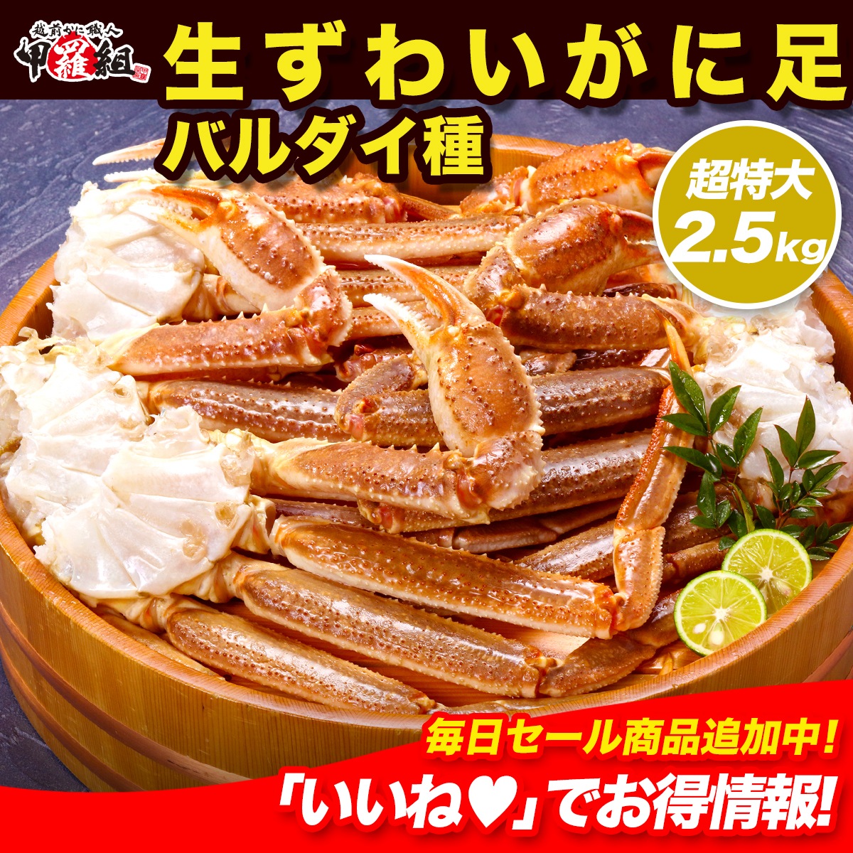 【希少バルダイ種】超特大サイズの生ずわいがに足たっぷり総重量2.5kg(5～6肩入り)