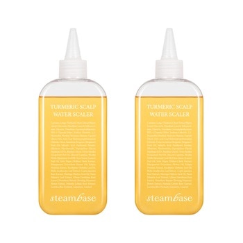 スチームベース ターメリック ウォータースケーラー 250ml x 2個