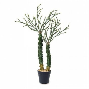 フェイクグリーン ユーフォルビア 81123