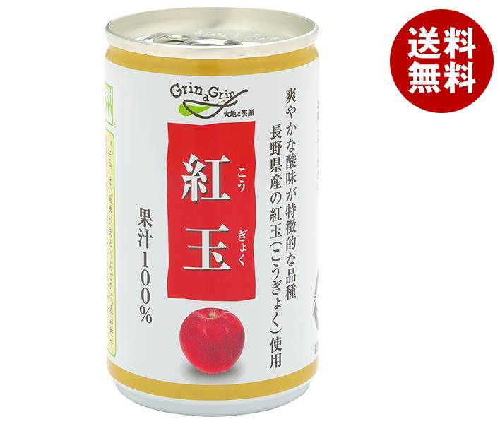 長野興農 信州 紅玉 りんごジュース 160g缶＊30本入＊(2ケース)