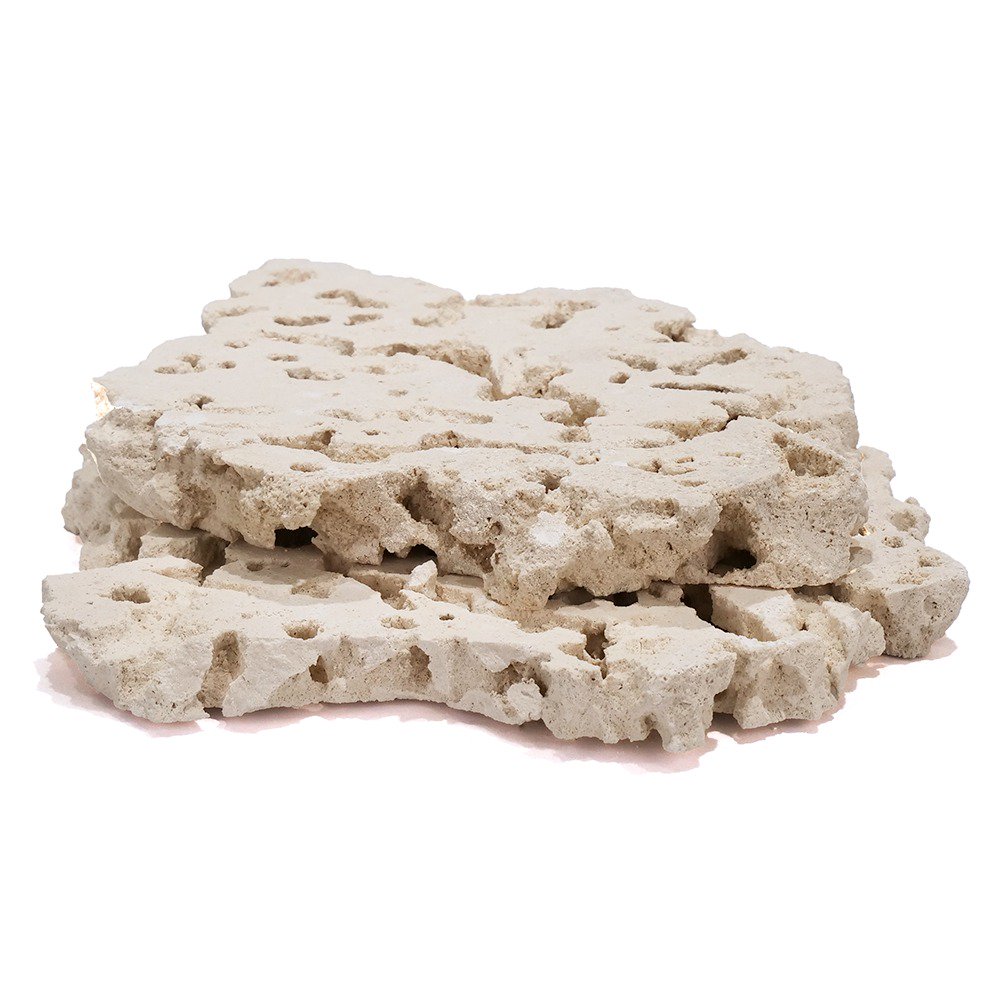 マルコロック　スライス　Ｌ　２枚　サンゴ　石　海水　水槽　飾り　レイアウト　ＣＲＣ21―20―90―00―00