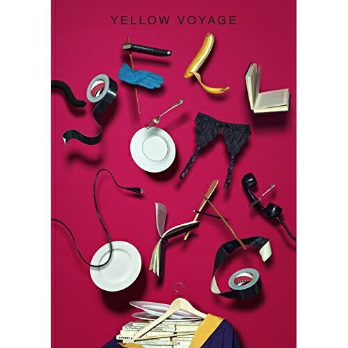 星野源 ／ Live TourYELLOW VOYAGE(通常盤) (DVD) VIBL-813