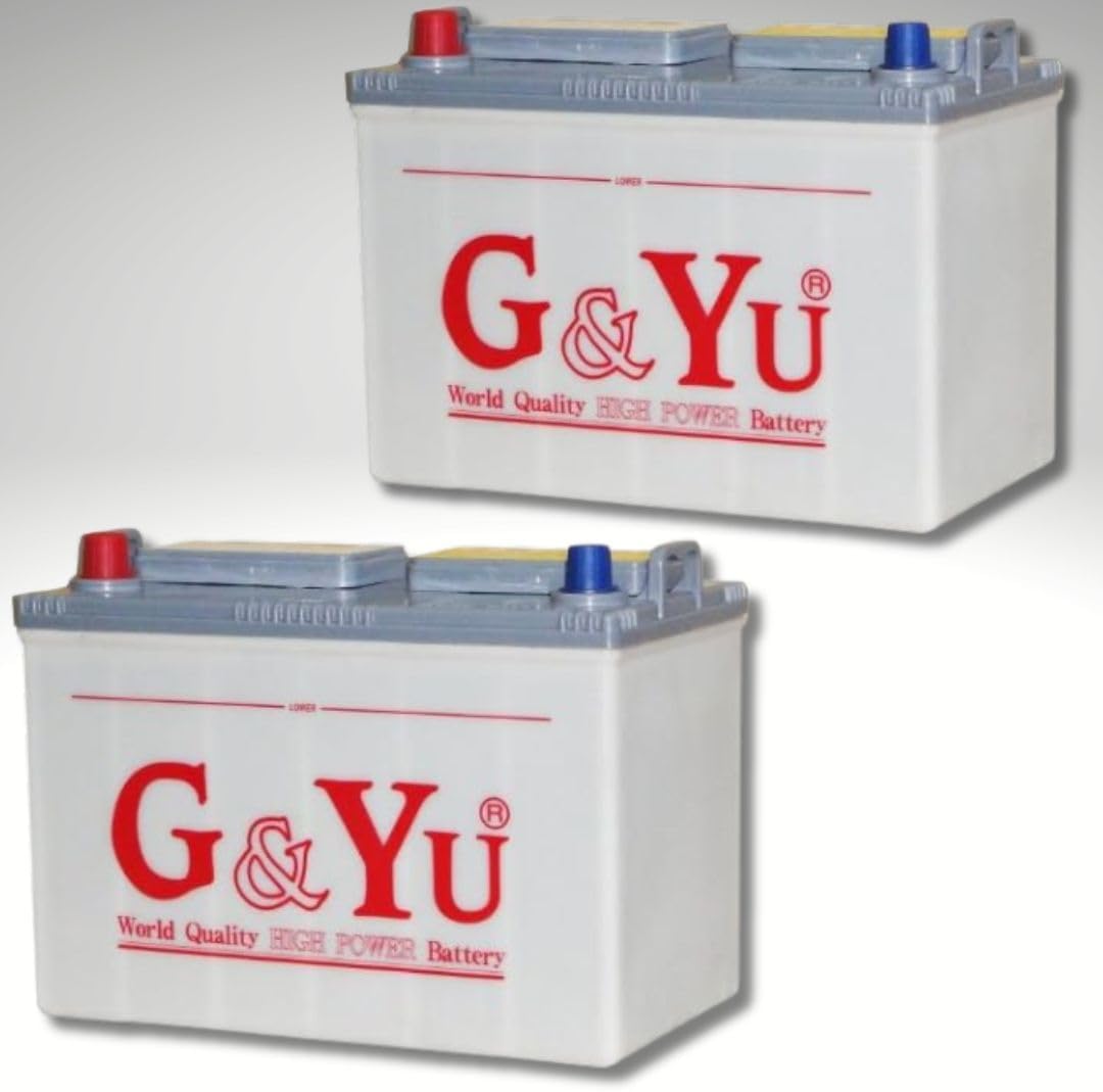 G&Yu [ジーアンドユー] ディープサイクルバッテリー EB-65 (12V)　テーパー端子 （お得な２個セット）