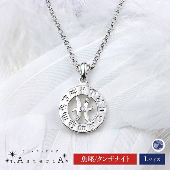 τ-Ast eri A SV タウアステリア ネックレス Lサイズ （ 魚座 星座守護石 タンザナイト ） シルバー 14,454円