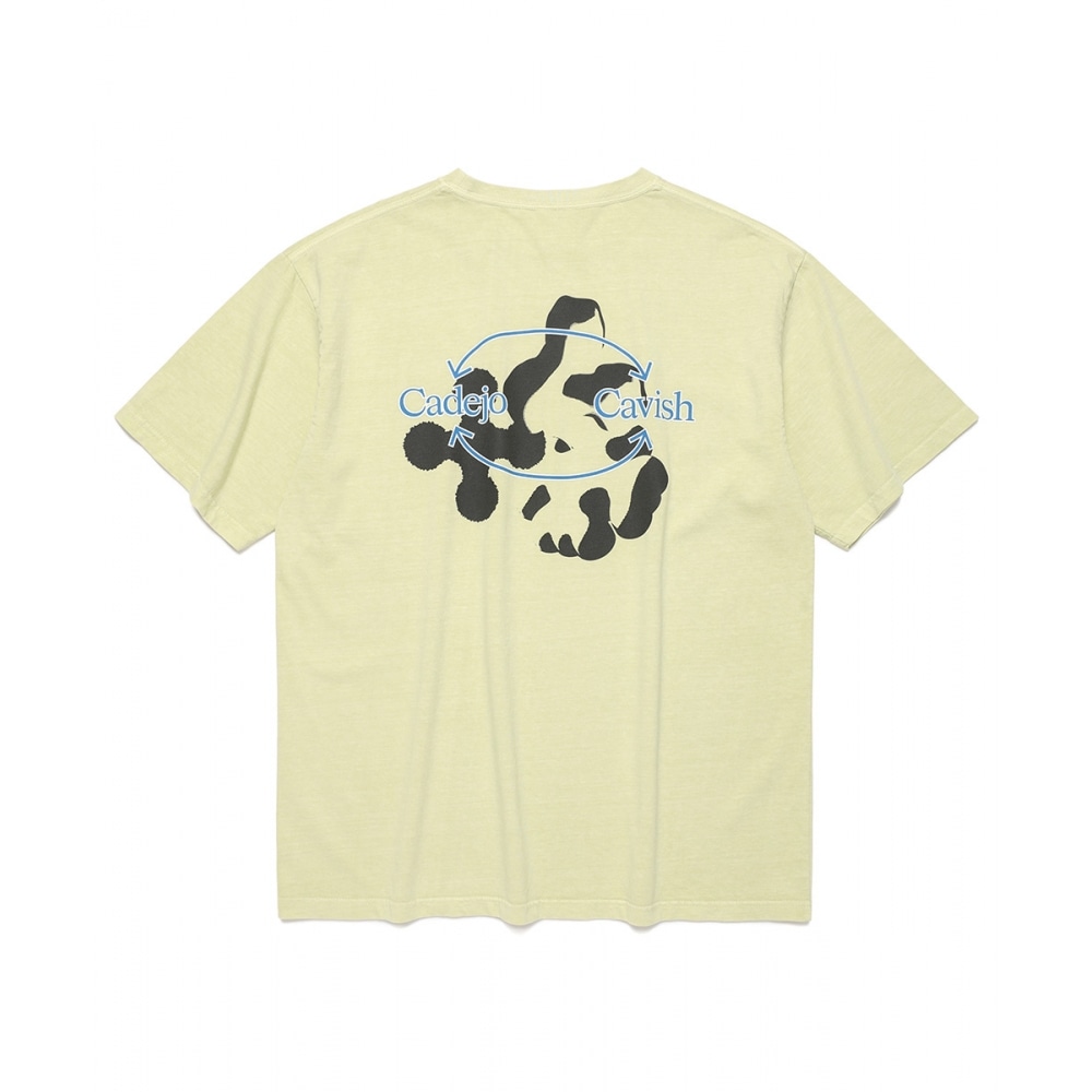 ティーグリーンに染められたキャビッシュカデホ顔料 (CV2DMUT523B)