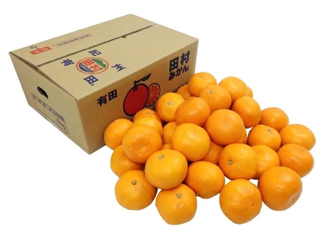 和歌山有田産 =田村みかん= 秀品 L-LL 約5kg 産地箱 予約 11月末以降 5,508円