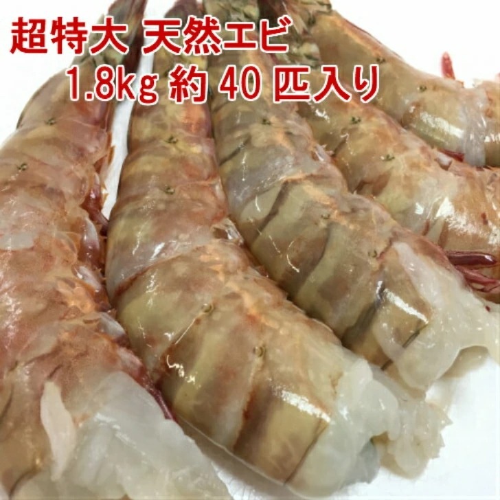 天然えび フラワーエビ 1.8kg約40尾 特大えび 冷凍エビ 海老 えび エビフライ 業務用えび