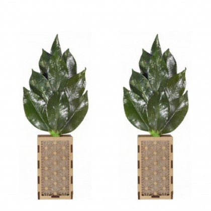 A＆K 日本製プリザーブド ミニS榊 榊立てカバーセット ST-023