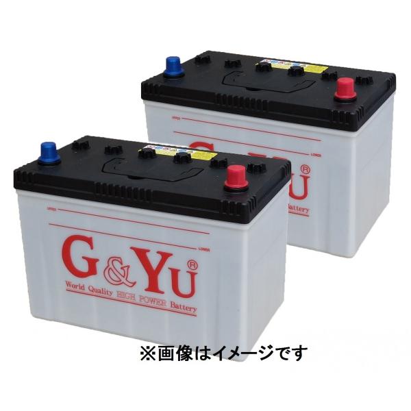 G&Yu [ジーアンドユー] バッテリー HD-D31R （お得な２個セット）　集配者・バス・トラック・船舶・建設機械用（キャップタイプ）