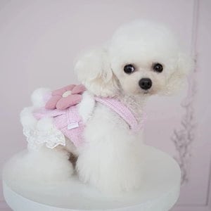 犬の服犬服新作大輪花チャンキーシフォンホルタードレス帽子付きかわいいぬいぐるみコートビションコート