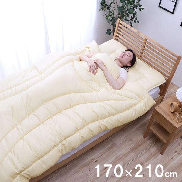 滅ダニ 寝具 布団 掛け布団 掛 ダニ対策 ピーチスキン生地 シンプル 無地 国産 日本製METU170210