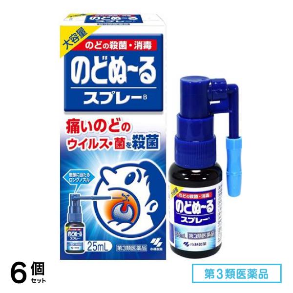 第３類医薬品 のどぬ～るスプレー(スプレーB) 大容量 25mL 6個セット