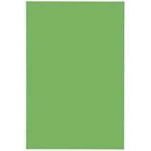 ジョインテックス マグネットシート [ワイド/ツヤ無し] 油性マーカー可 緑 B209J-G-10 7,999円