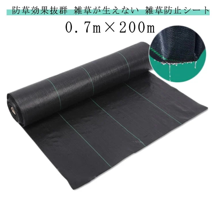 遺蹟/遺跡/出土品】文化大革命中の中国出土文物 昭和48年 希少図録/絶版