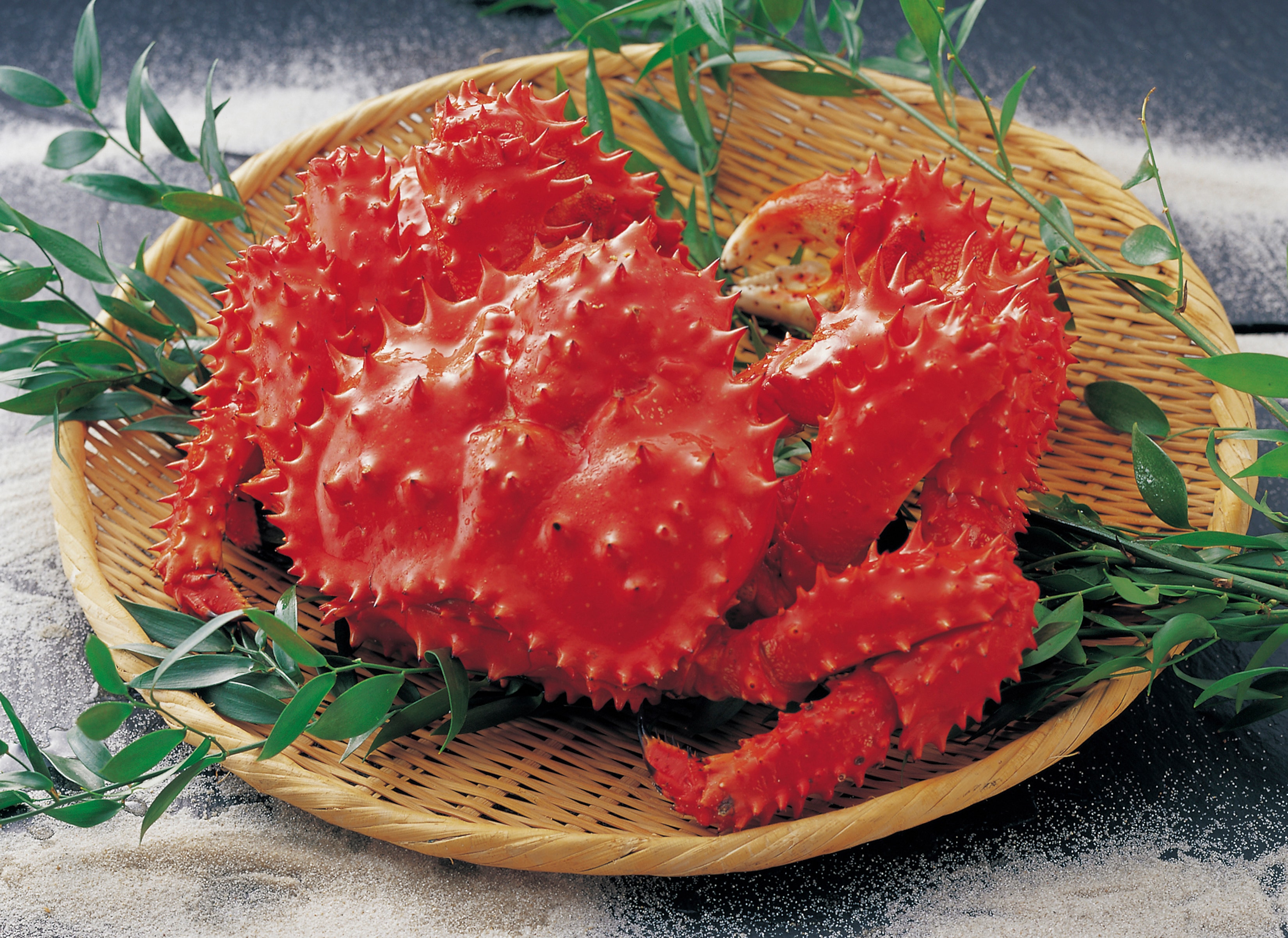 花咲ガニ 約600g 最も美味しいサイズを厳選した特産品