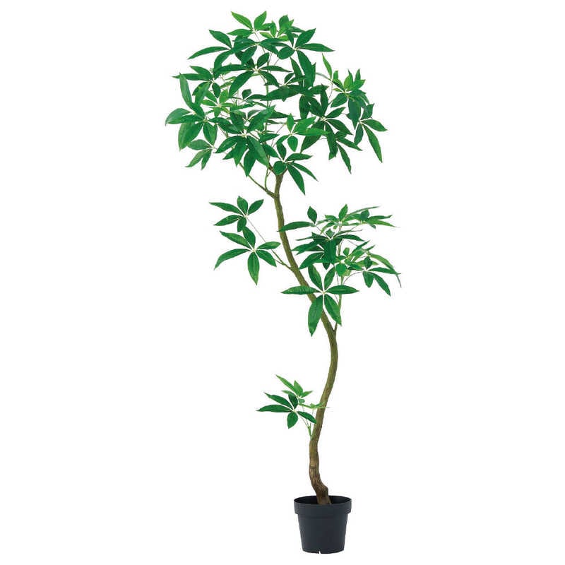 アスカ商会　フェイクグリーン パキラ 組み立て式 グリーン　A-51112-051A